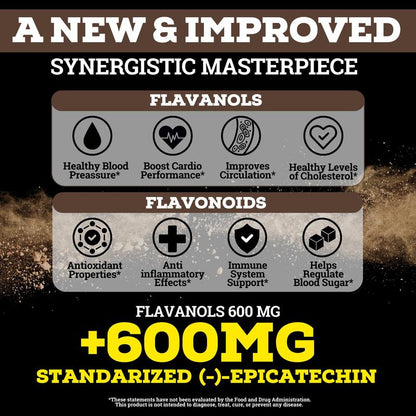 High-Flavanol Cocoa — 1200mg Flavanols + 600mg Epicatechin