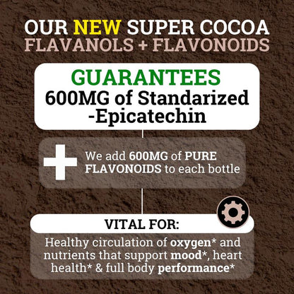 High-Flavanol Cocoa — 1200mg Flavanols + 600mg Epicatechin
